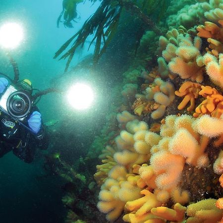 Gulen Dive Resort Dalsoyra Ngoại thất bức ảnh