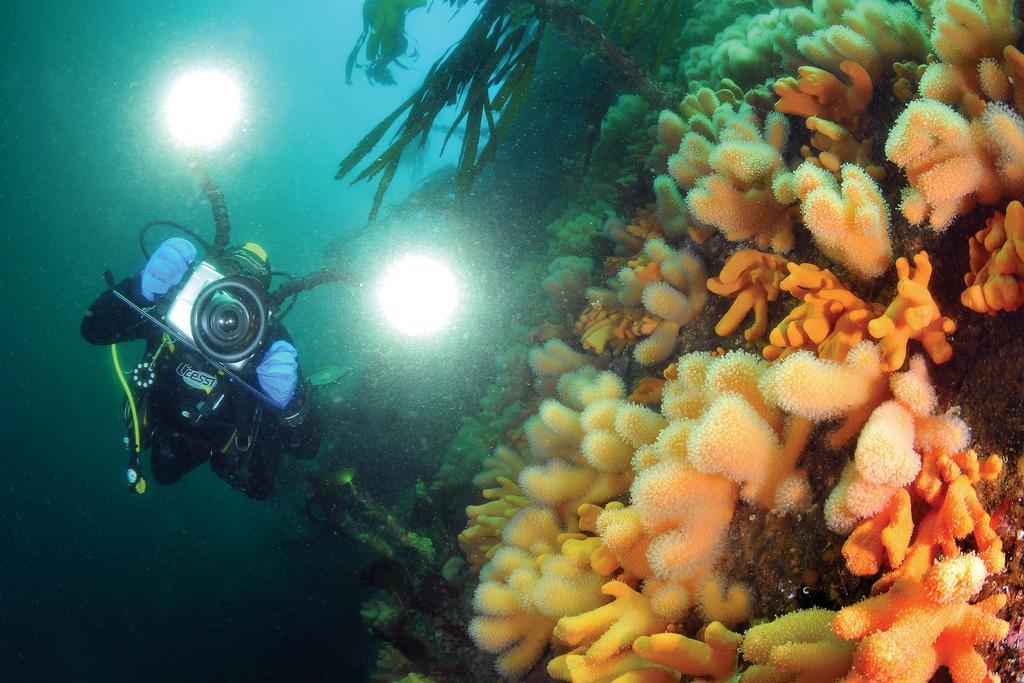 Gulen Dive Resort Dalsoyra Ngoại thất bức ảnh